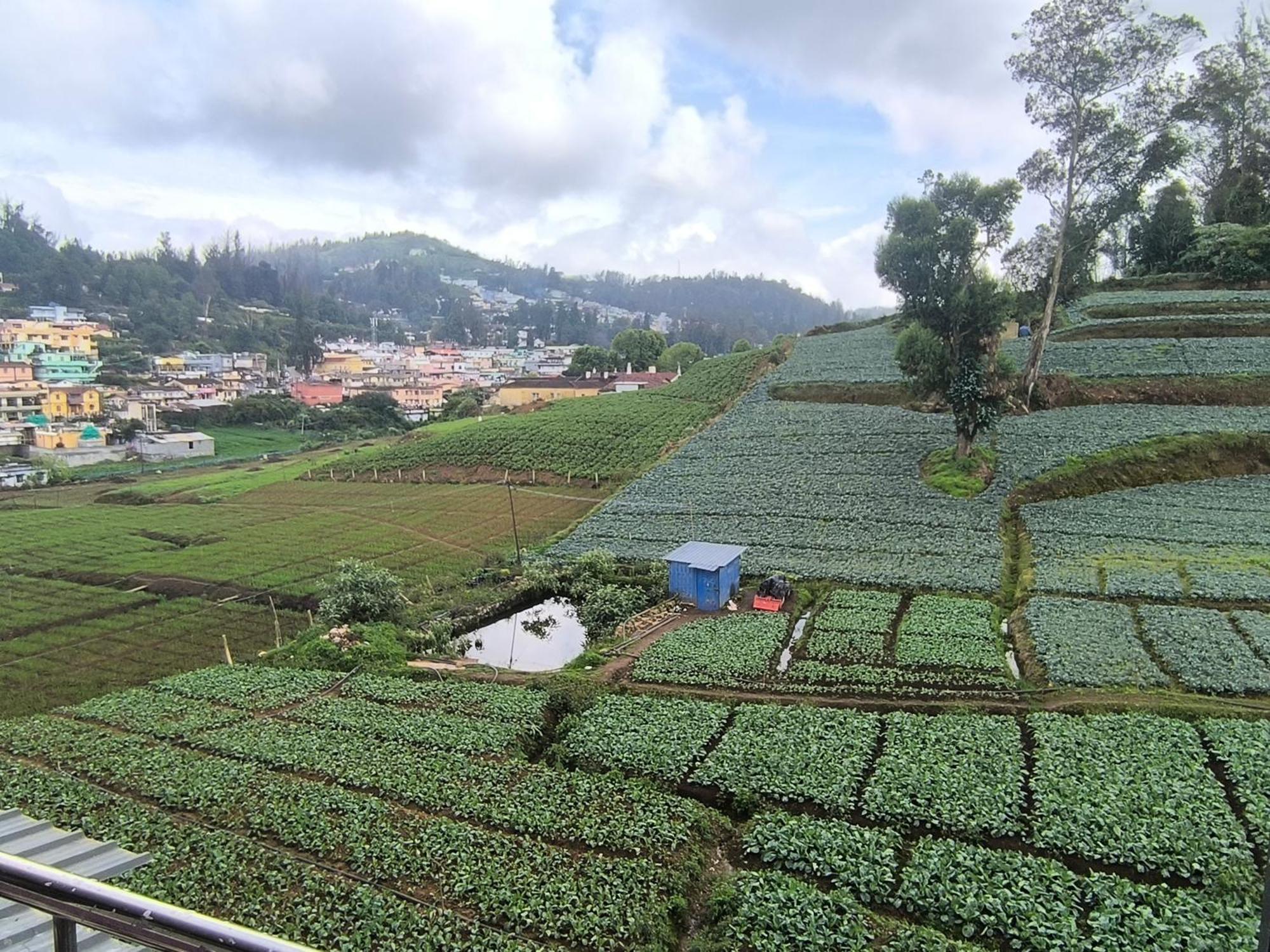 J J Homes Ooty Dış mekan fotoğraf